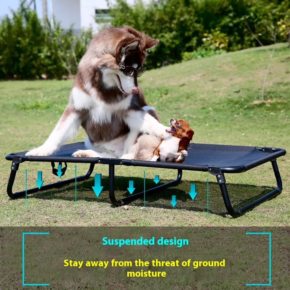 Folding steel frame dog camp bed with grey mesh fabric and a mattress in size large.