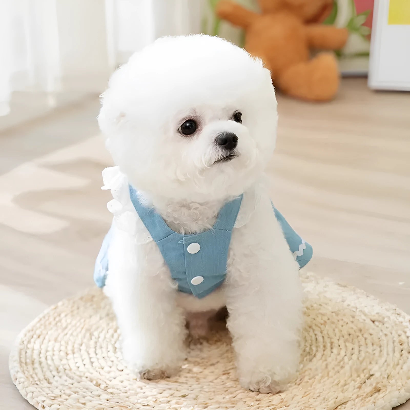 Strawberry traction print denim skirt dog clothes in Bondi Blue colour on small dog