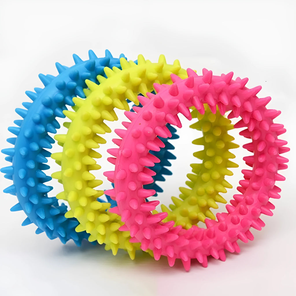 Blue spiky circle ring dog chew toy made from TPR for dental cleaning and bite training