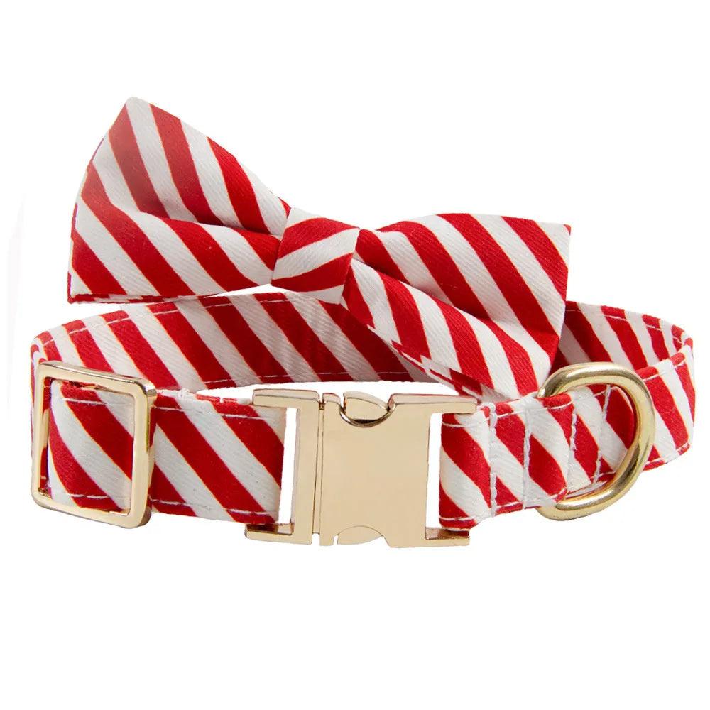 Green personalised dog collar with bow knot and adjustable strap showing engraving area