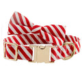 Green personalised dog collar with bow knot and adjustable strap showing engraving area