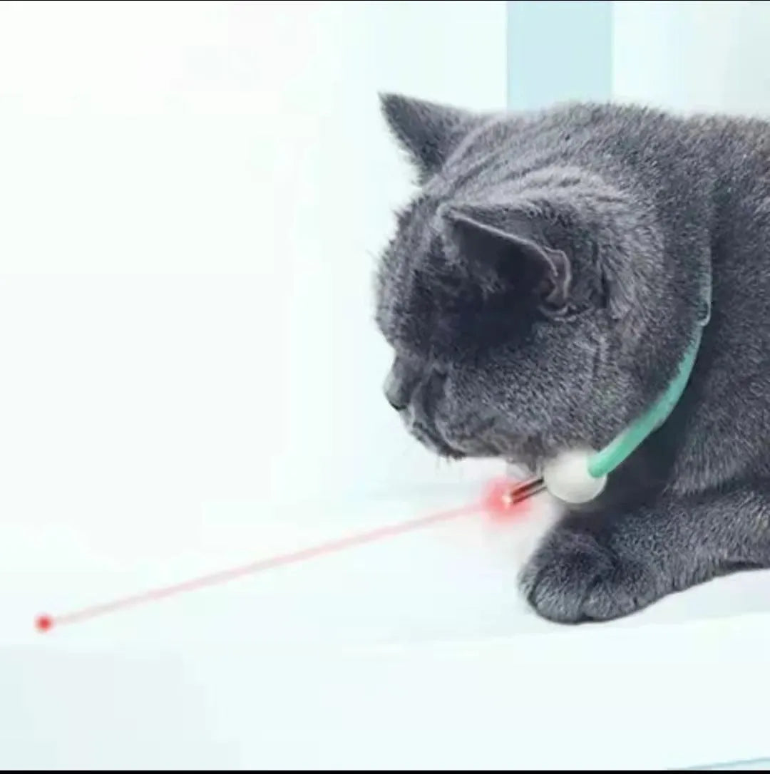 Automatic cat teaser with infrared laser light and collarpiece in monochrome design