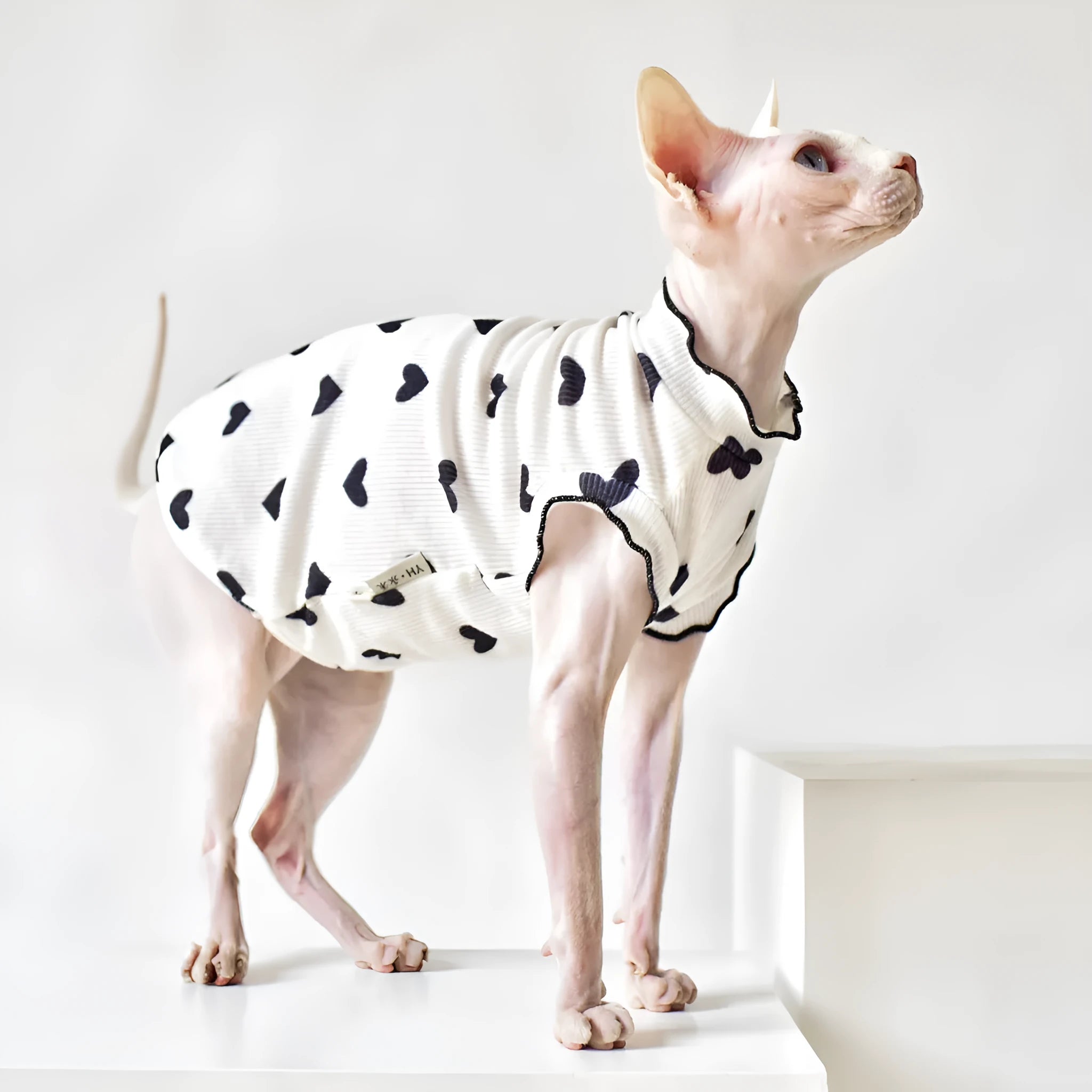 Summer thin sleeveless rubber cat vest in black heart colour on white background, sizes XS to XXL available