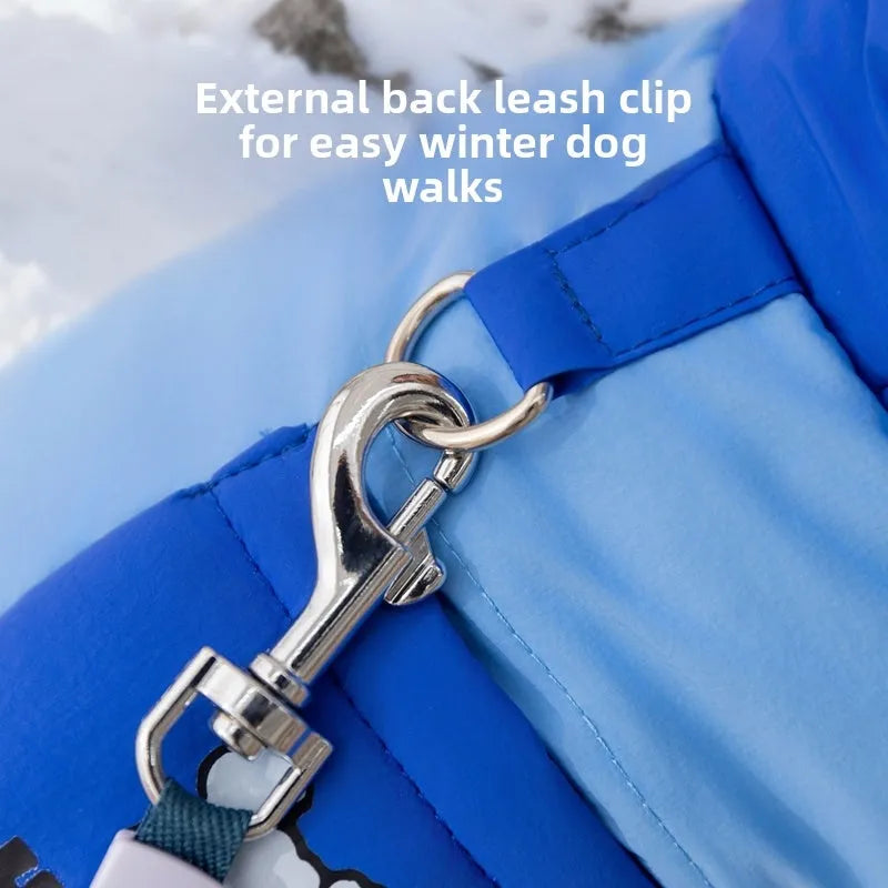 Blue padded dog snowsuit with hood, 'Hello!' bear print pocket and metal leash ring for small dogs and cats.