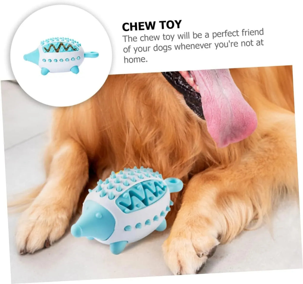 Dog toy treat dispensing squeaky ball in blue green and pink colours