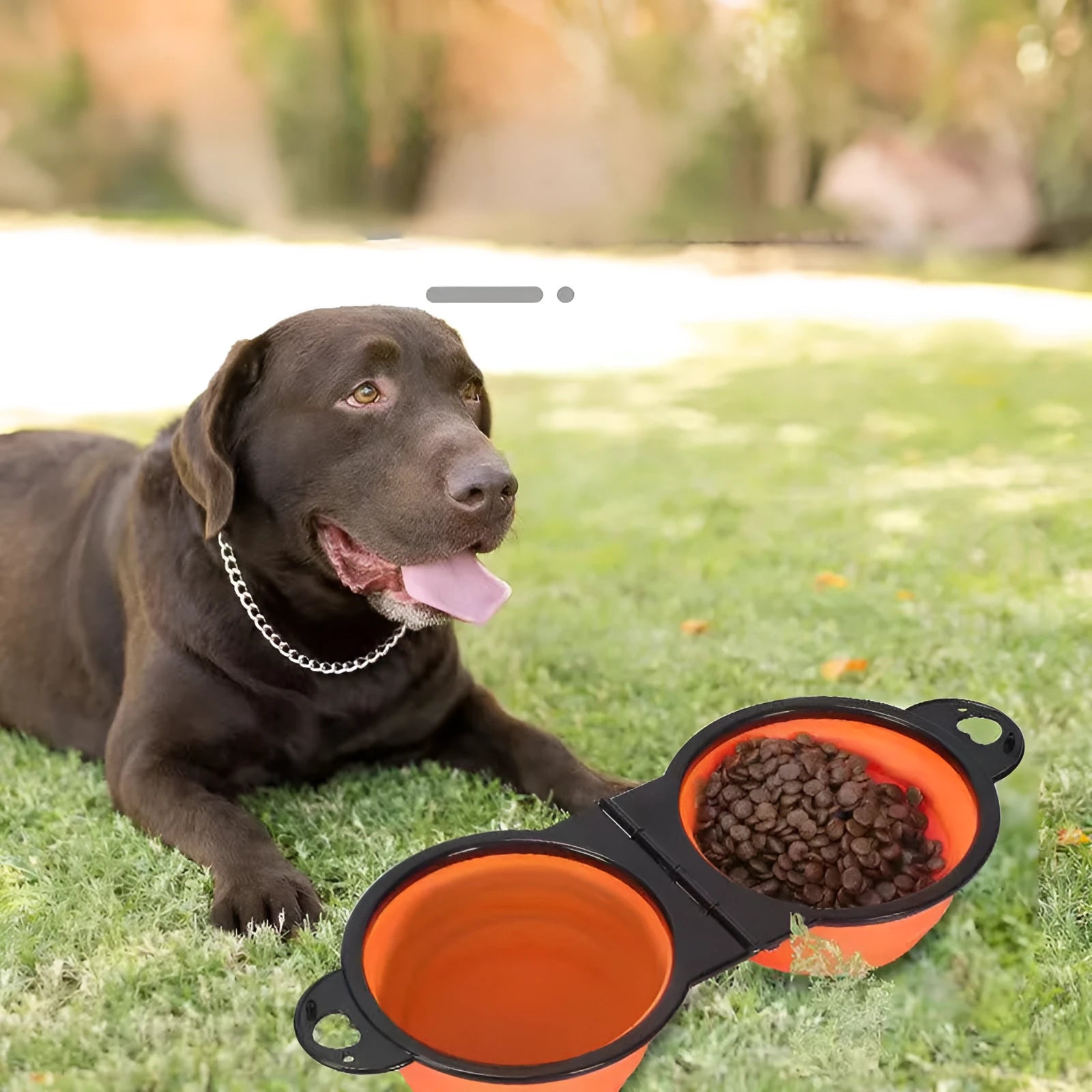 Blue silicone folding double pet bowl showing two compartments, collapsed flat next to it.