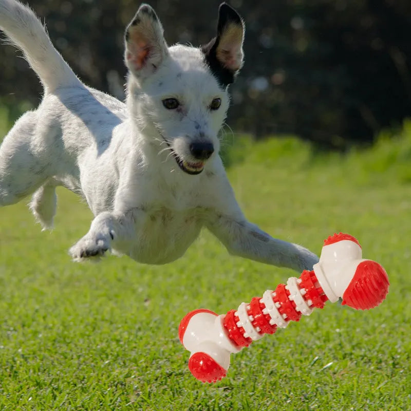 Blue bone-shaped rubber dog toy with treat hole for small breeds on a white background.