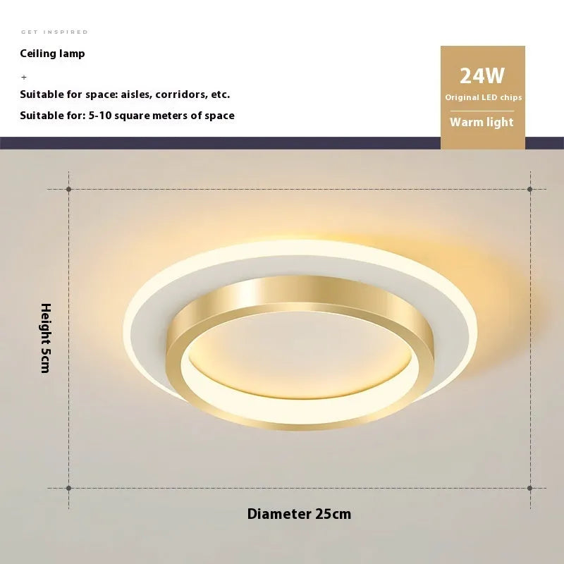 Nordic LED ceiling light surface mounted on hallway ceiling, black finish, warm light on