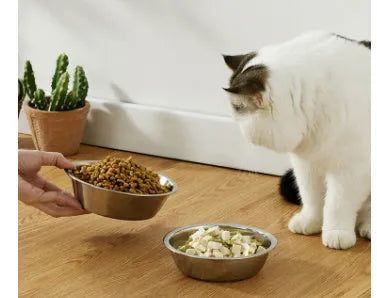 Stainless steel pet bowl with non-slip base shown in various sizes from 13cm to 22cm diameter.