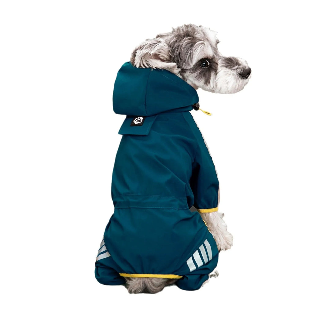 Dog wearing a blue four-legged waterproof raincoat made from PUC polyester fibre, standing outdoors in wet weather.