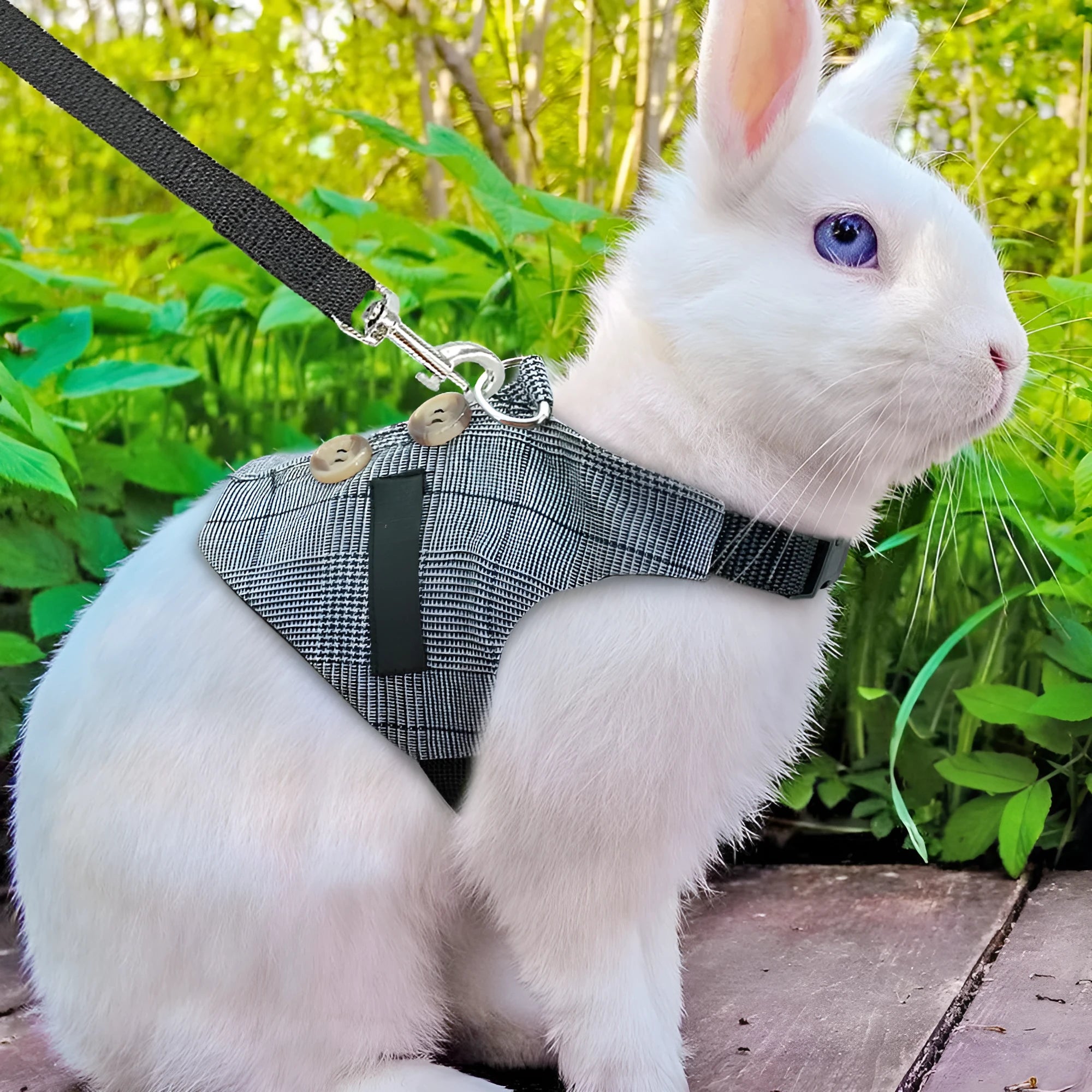 Grey cloth rabbit chest harness and leash set for small pets