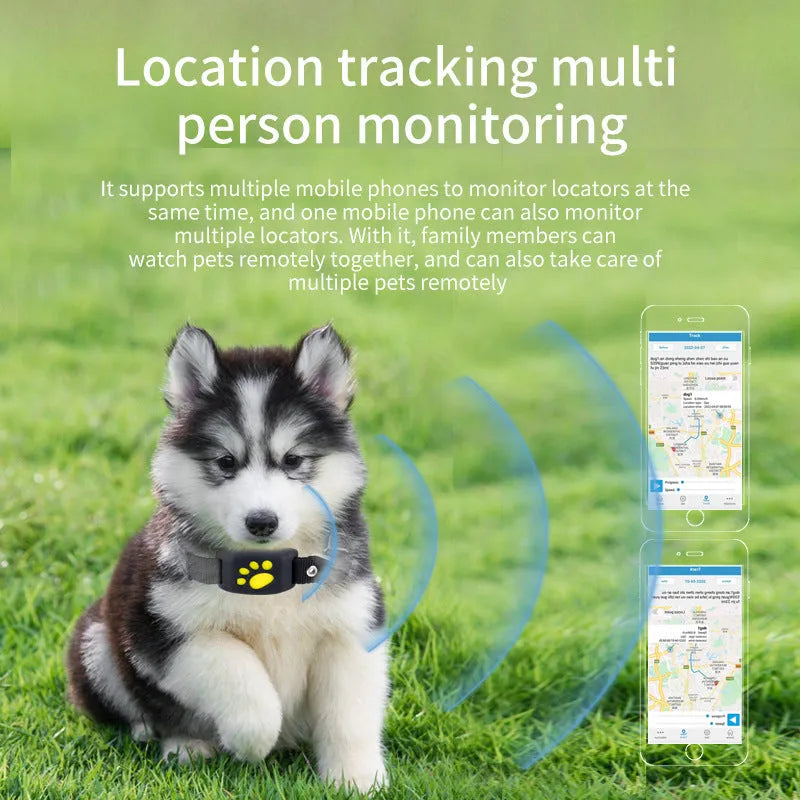 A compact black and yellow waterproof GPS tracker for pets, shown with a dog collar.