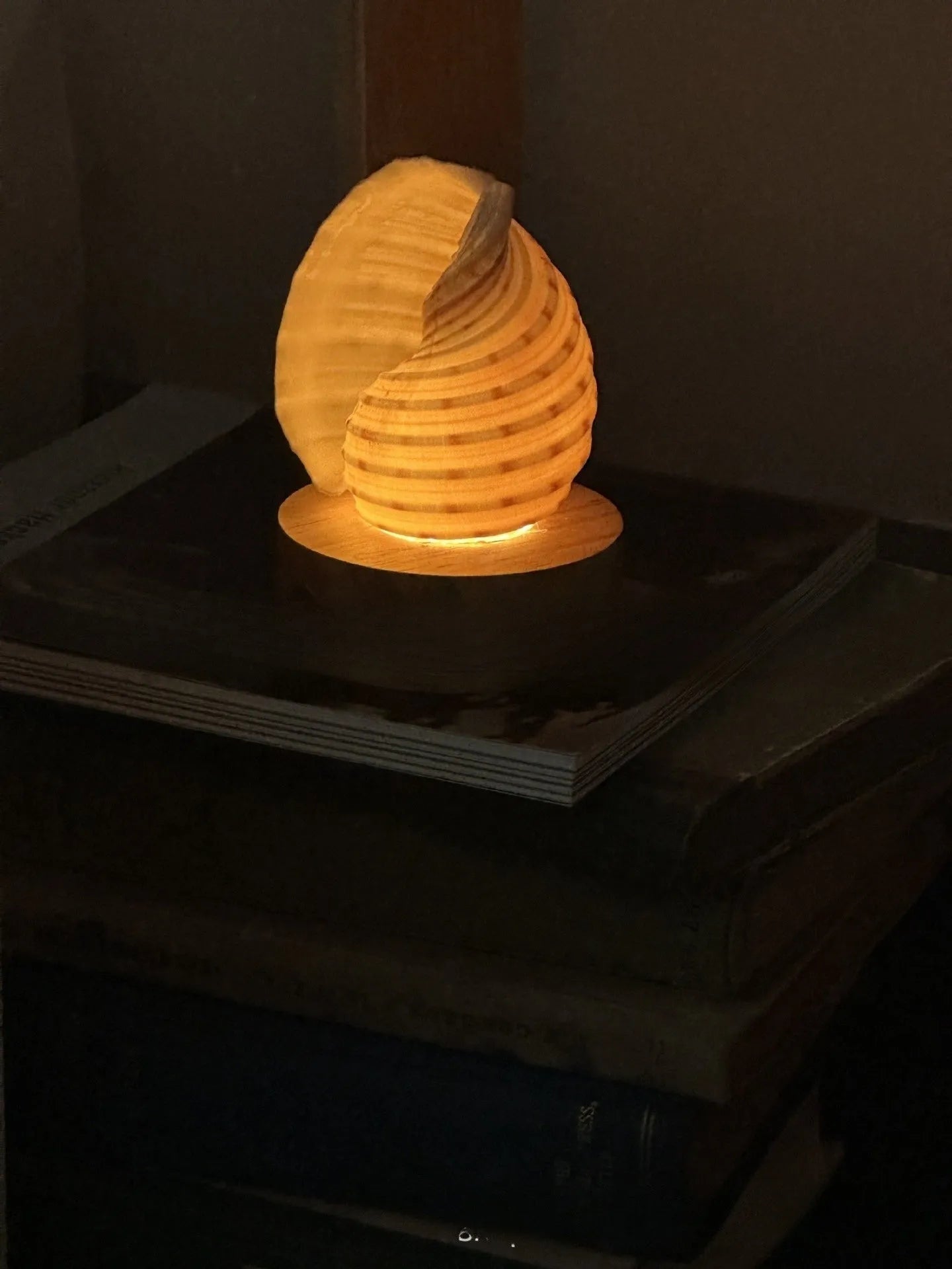 Creative natural conch shell small night lamp with USB charging cord on a table