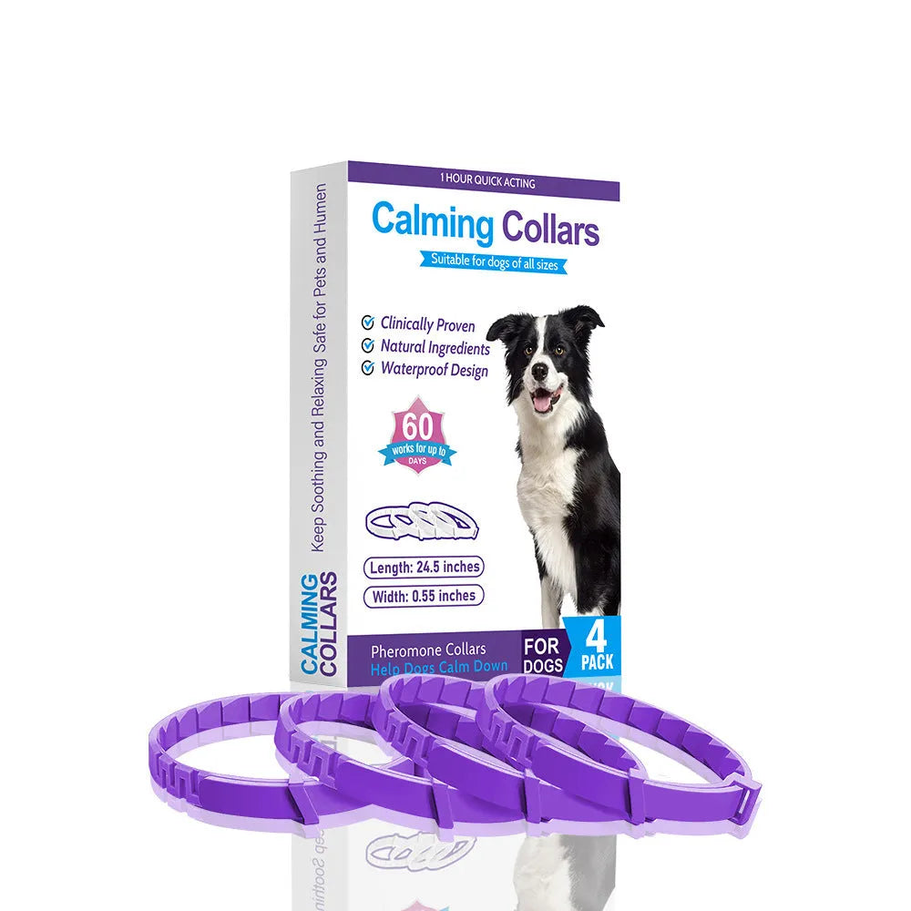 Pack of four solid-colour TPR dog calming collars with buckles, shown in assorted colours.