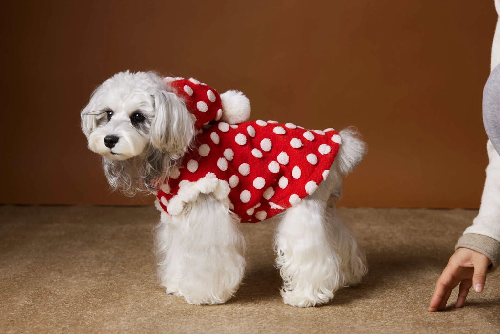 Red polka dot sleeveless hooded dog vest coat on a pet, front view, polyester fabric