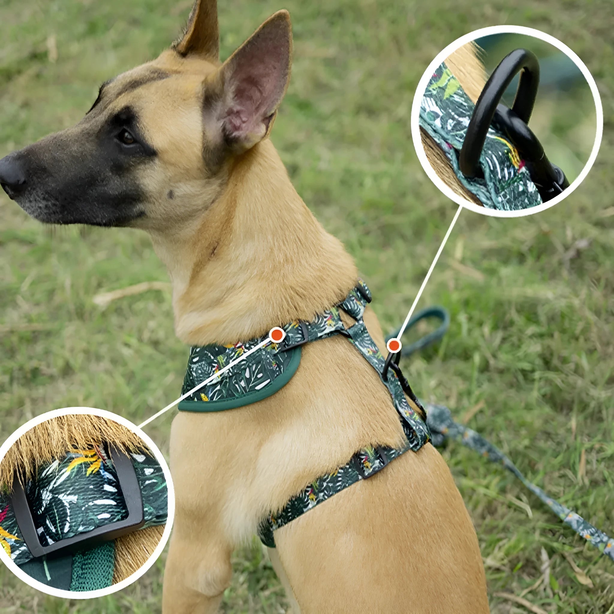 Adjustable cloth dog harness set with leash, collar, poop bag, bow, and bandana in various colours.