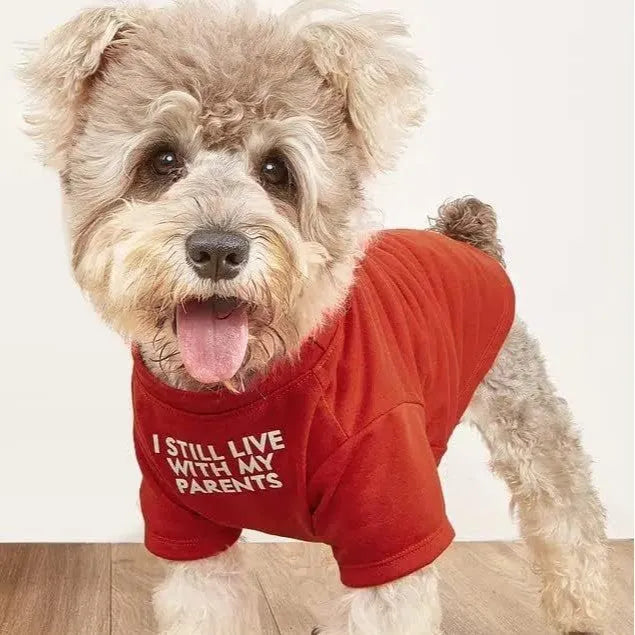 Pet clothes round neck T-shirt for dogs and cats made of breathable polyester in red, blue, black, and khaki