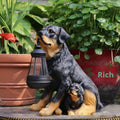 Solar garden lamp ornament resin craft outdoor decoration Daikin Wool colour