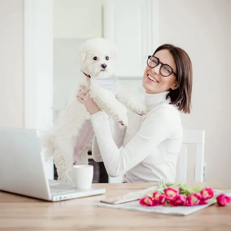 Blank white adjustable dog scarf for thermal transfer customisation with size options