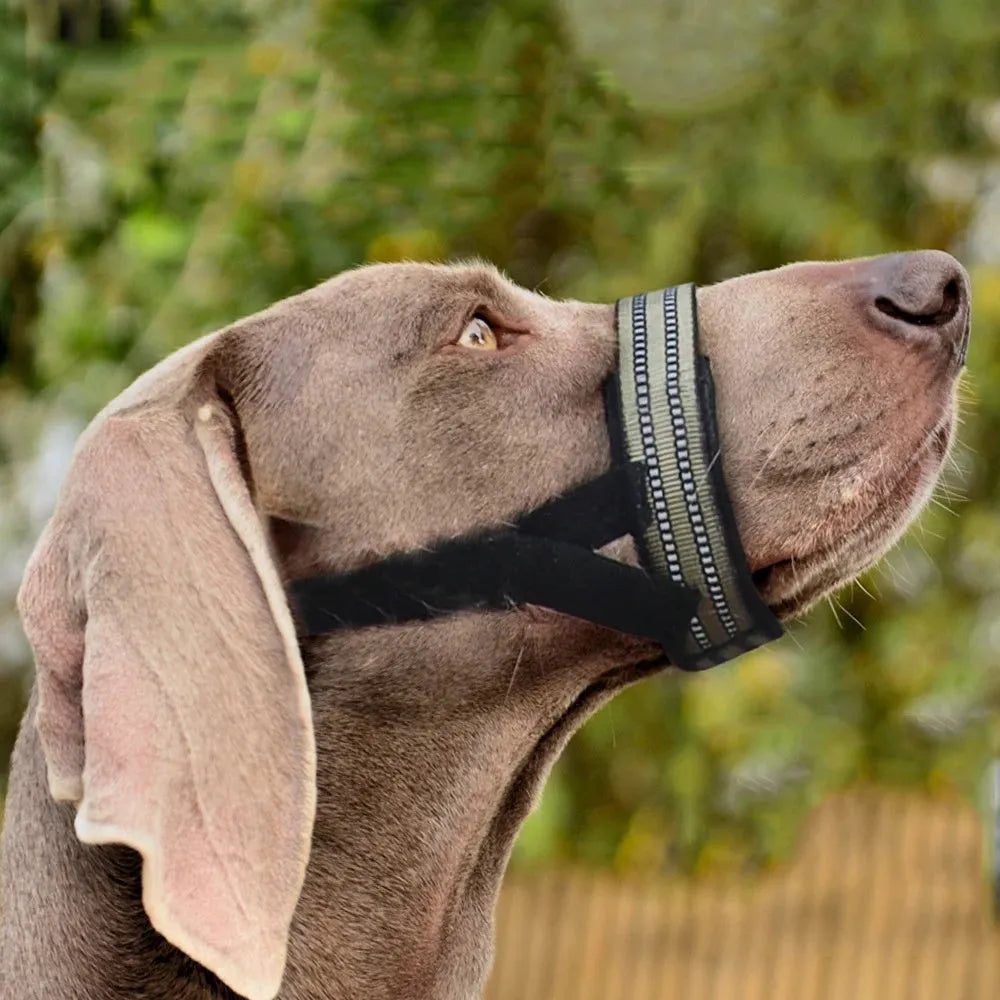 Reflective adjustable dog muzzle for medium large breeds in multiple colours