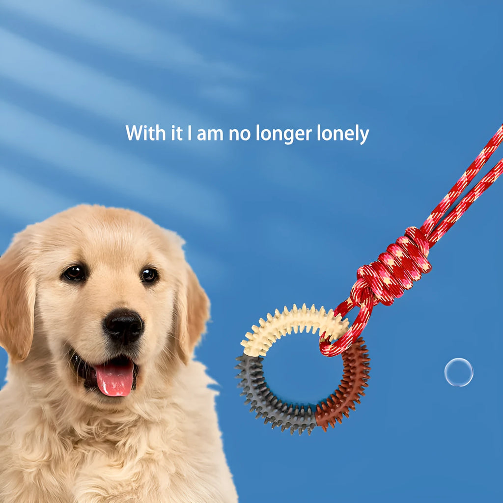 Colourful blue braided rope knotted dog chew toy on a white background.