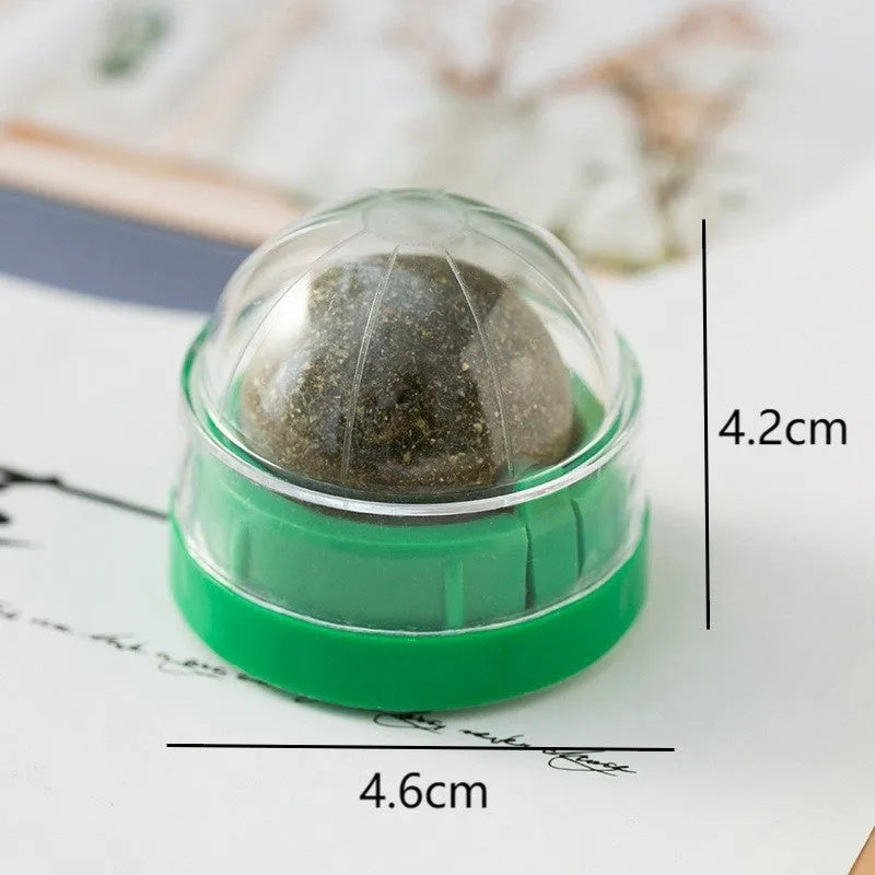 Plastic catnip ball toy for dental care in various colours with textured chewing surface