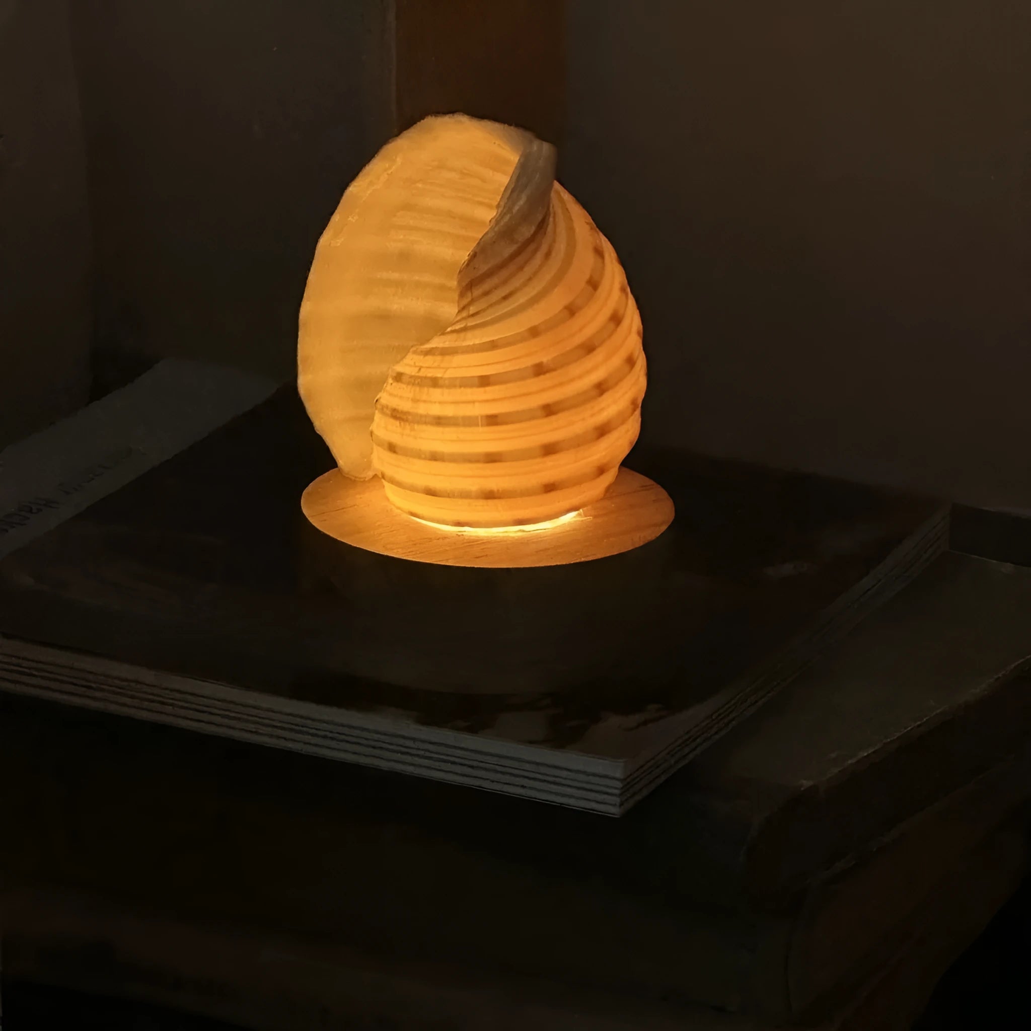 Creative natural conch shell small night lamp with USB charging cord on a table