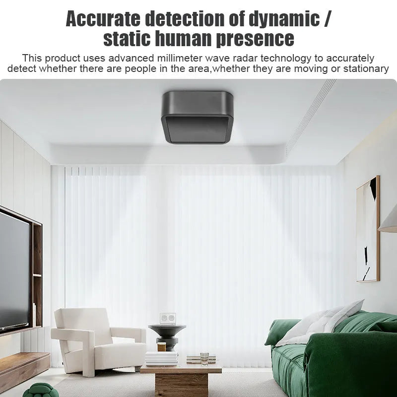 Doodle smart human presence sensor, 24G radar, black, 10x10x4cm, with USB cable