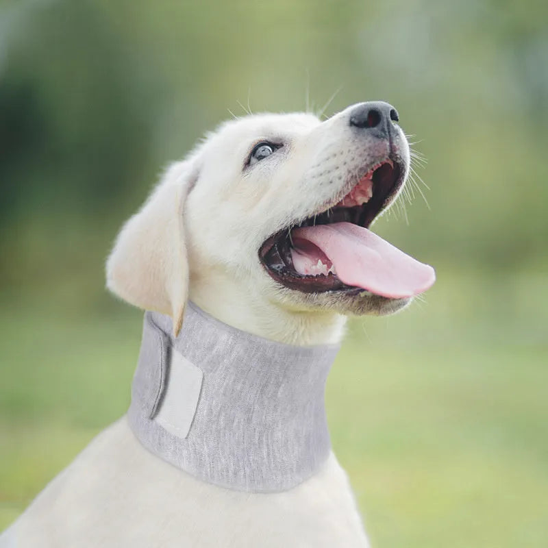 Grey and pink soft fabric recovery cone collars for cats and dogs in four different sizes.