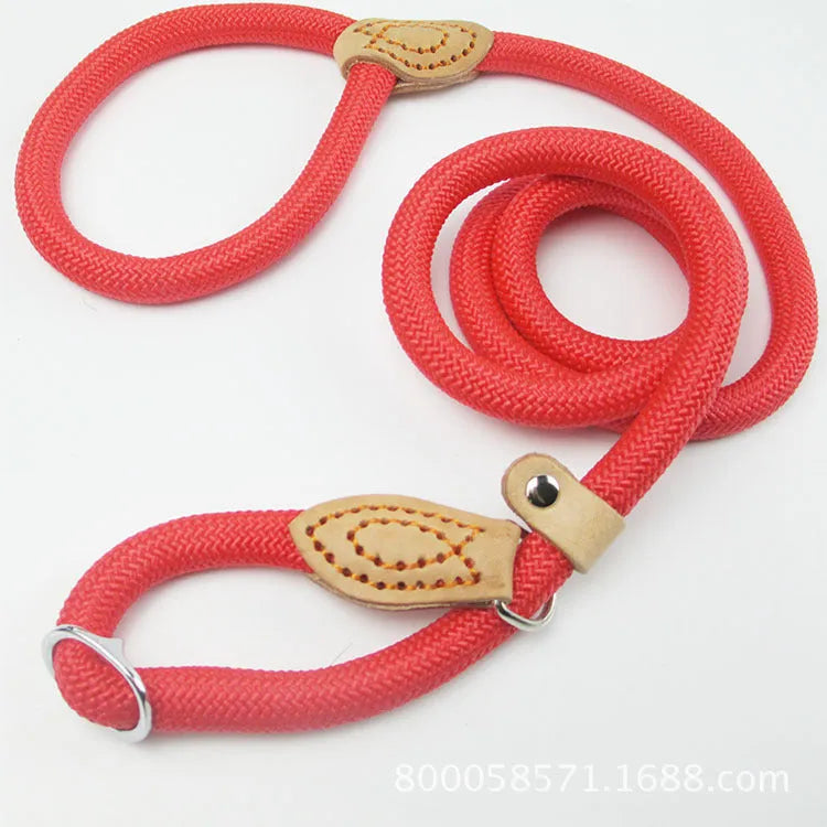 Brown nylon dog leash with hand holding rope and P chain attachment