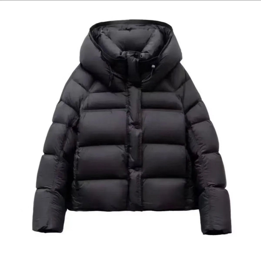 Women's puff down cotton jacket in black, beige, coffee, gray or purple, slim fit, long sleeve, sizes M to 2XL
