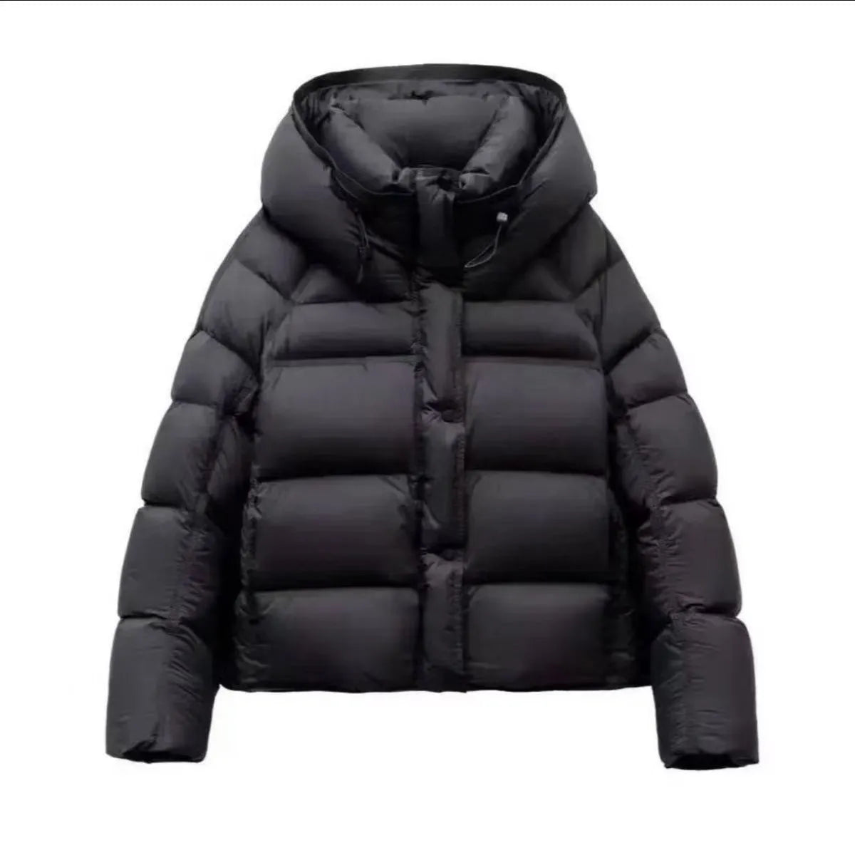 Women's puff down cotton jacket in black, beige, coffee, gray or purple, slim fit, long sleeve, sizes M to 2XL