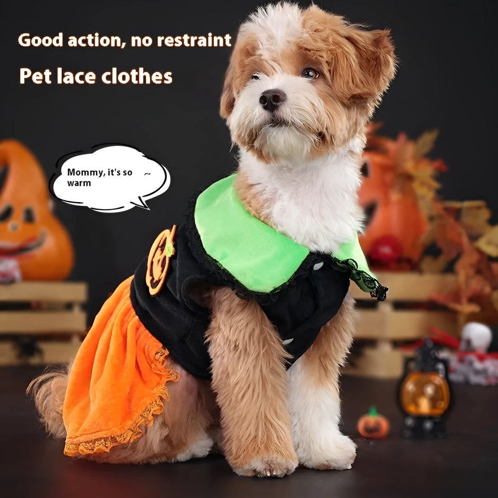 Halloween pumpkin skirt pet costume for small dogs and cats in crystal velvet material