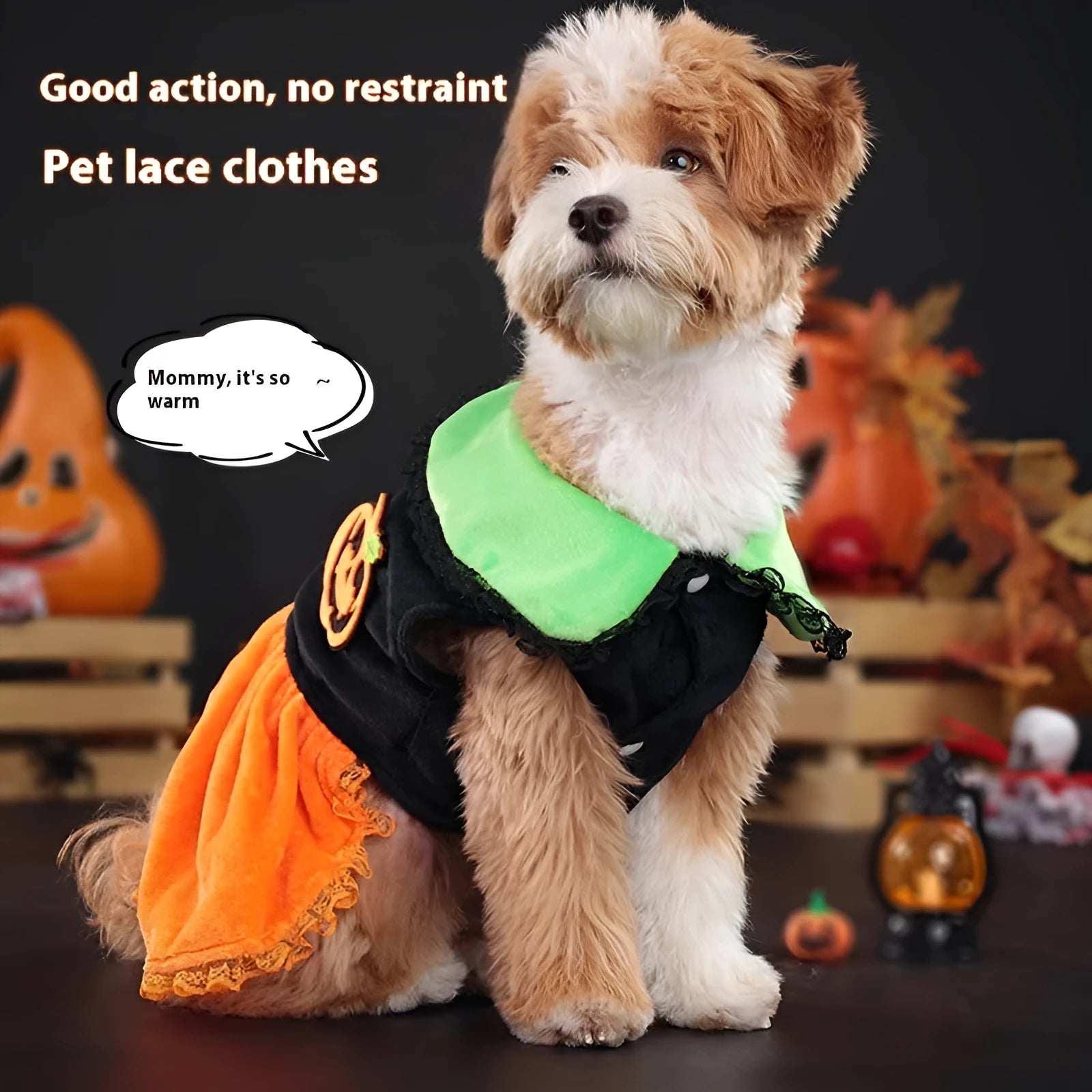 Halloween pumpkin skirt pet costume for small dogs and cats in crystal velvet material