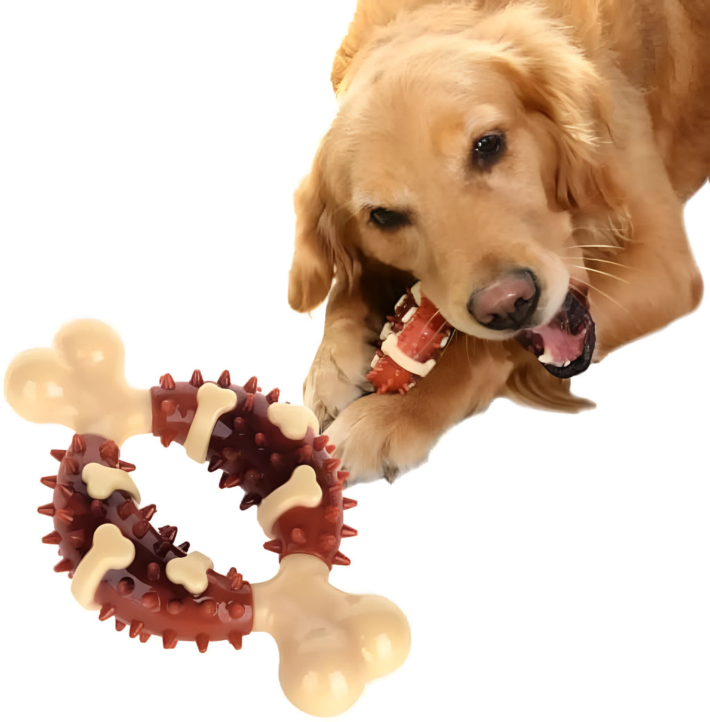 Bone-shaped natural rubber dog molar chew toy in two sizes for teeth grinding and anxiety relief.