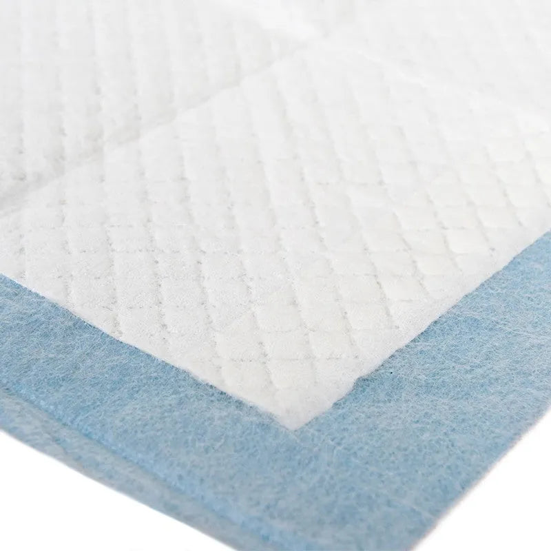 Blue disposable dog diaper for male female puppy toilet training deodorising pet supplies on white background