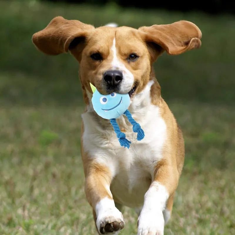Blue cotton rope dog squeaky toy with strong knot design and cartoon animal shape