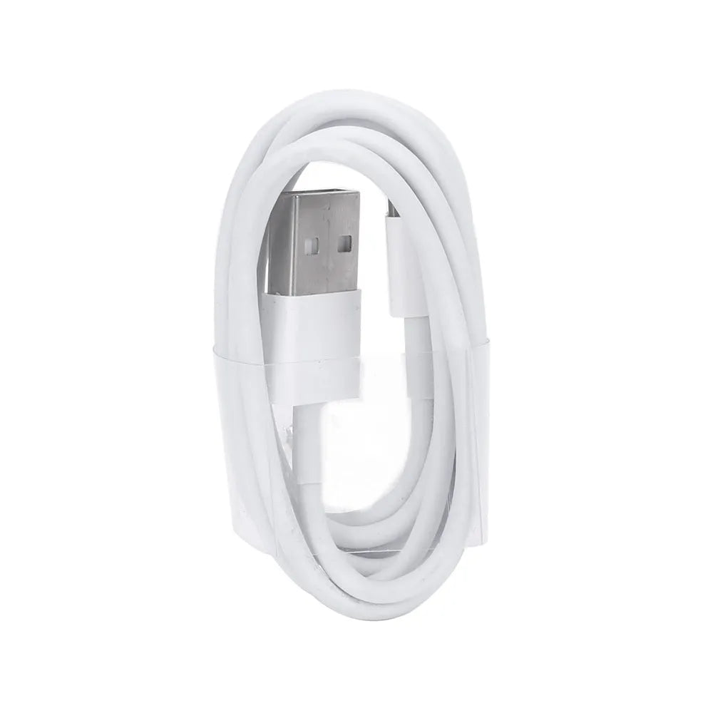 5V 2A USB wall charger and cable for iPhone and iPad charging