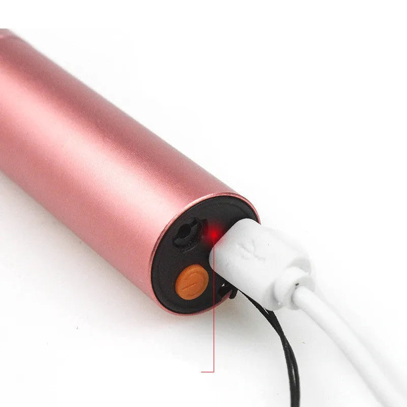 2 in 1 cat ringworm detection lamp and laser cat stick in aluminium alloy, 9.8cm x 2cm, Rose Gold or Black