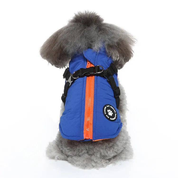 Dog wearing chest strap jacket with cotton-padded polyester insulation in blue colour