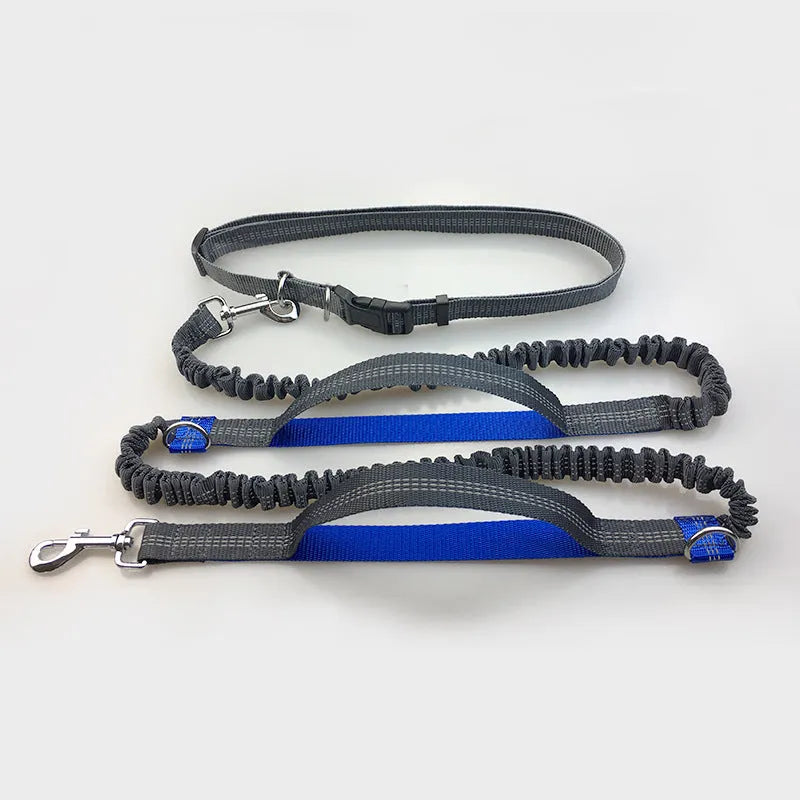 Reflective hands-free dog lead with elastic bungee, waist belt and phone pocket, adjustable 160-260cm