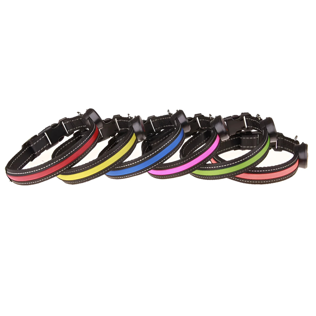 Adjustable dog luminous collar in glow colour with telescopic fit for night walk visibility