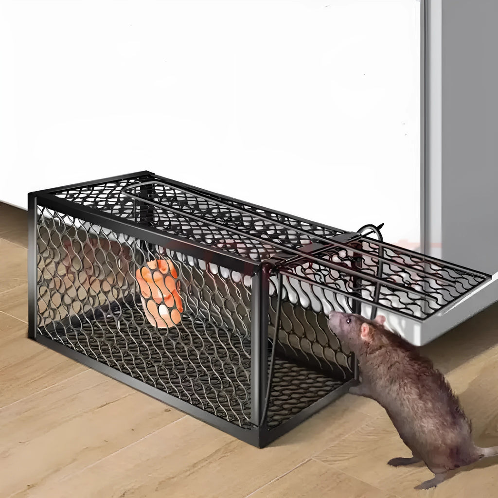 Automatic humane mouse trap cage made of white plastic with a metal door, shown in small, medium, and large sizes.