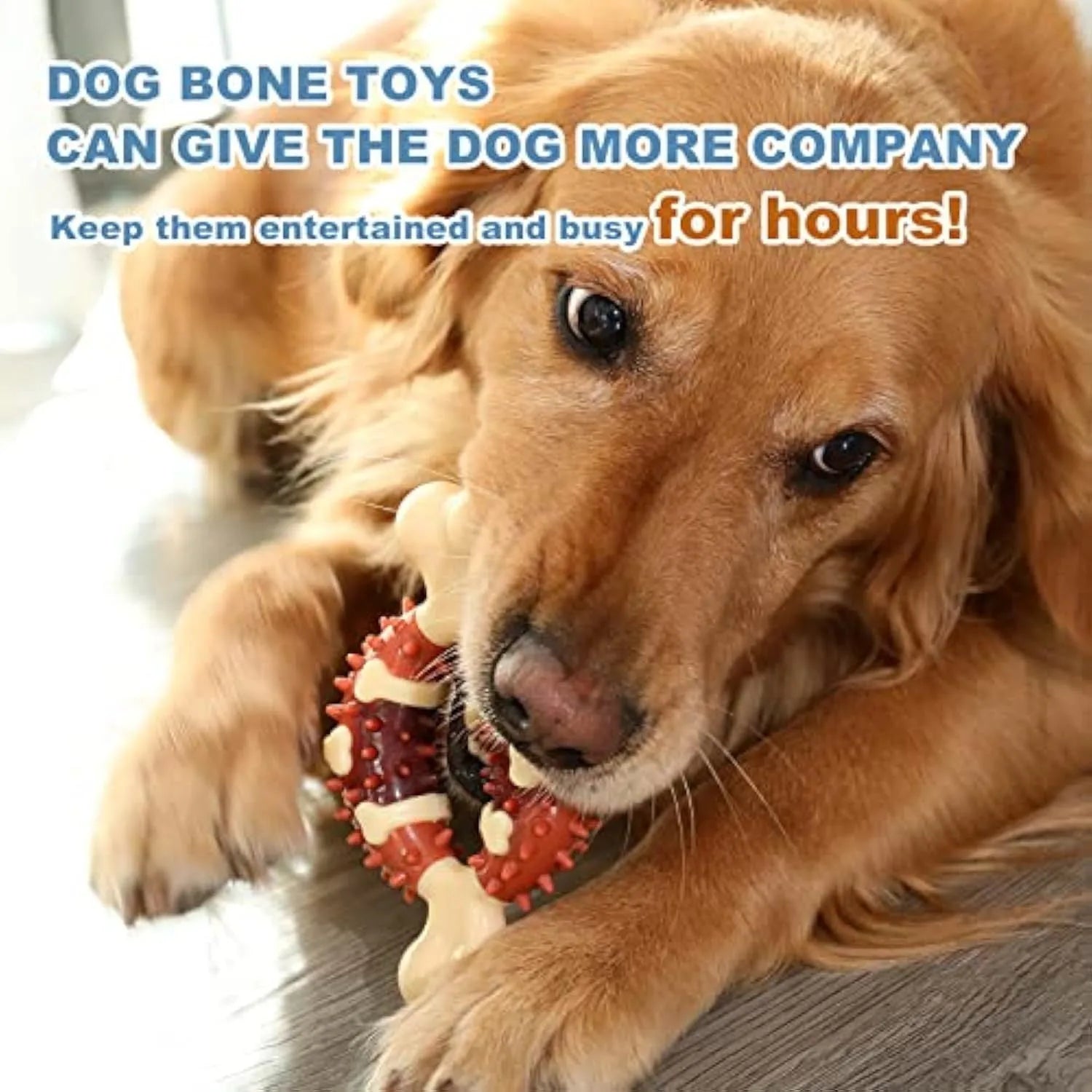 Bone-shaped natural rubber dog molar chew toy in two sizes for teeth grinding and anxiety relief.