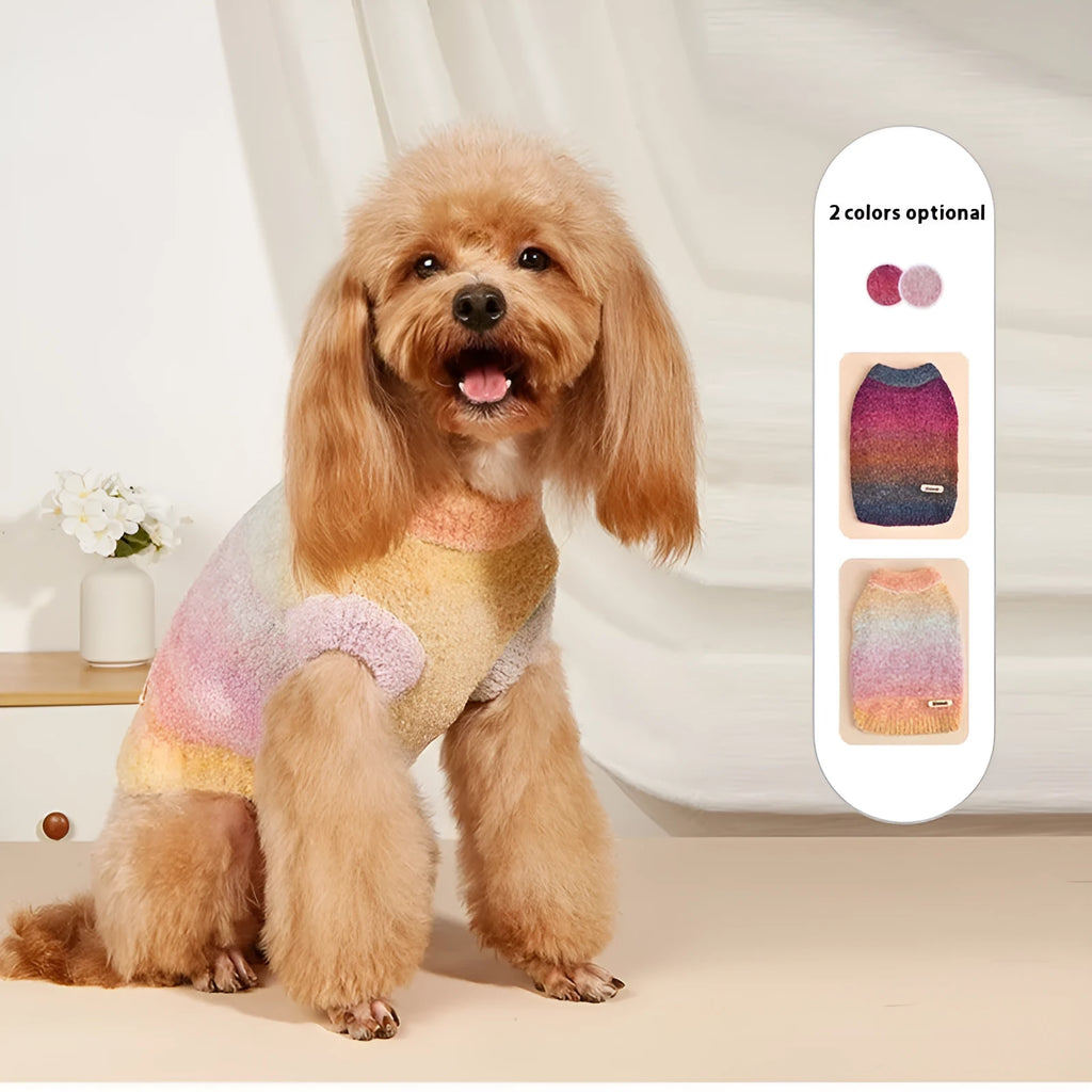 A soft rainbow circle patterned pet sweater in Dopamine style, shown on a mannequin, available in sizes S to XXL.