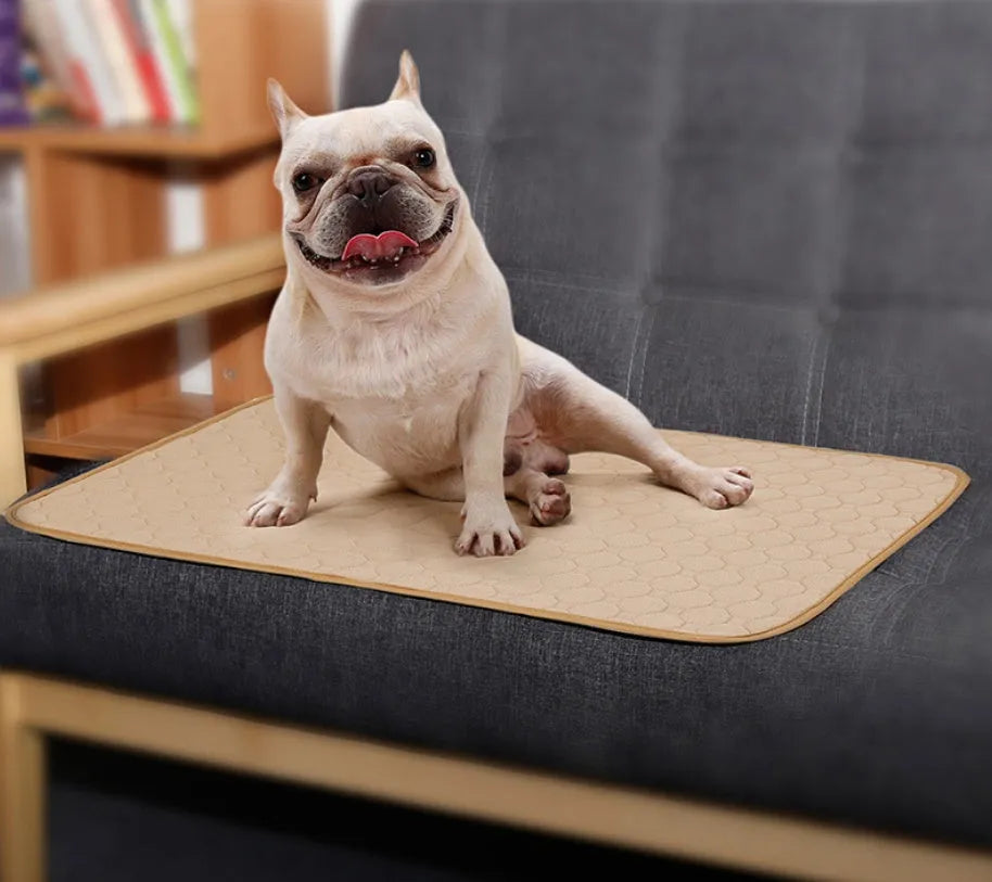 Reusable dog urine pad in gray with non-slip TPU waterproof bottom, size L (100x67cm)
