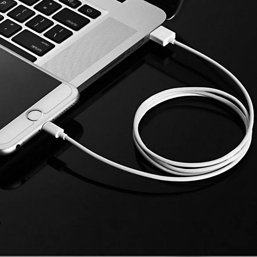 5V 2A USB wall charger and cable for iPhone and iPad charging