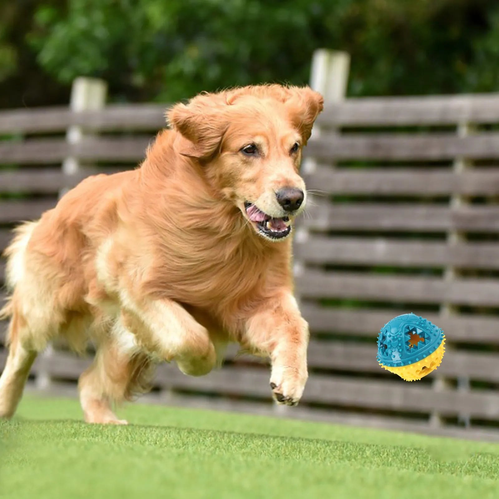 Dog chew toy ball with red and yellow colour, 8.4 cm, featuring bell and treat leakage holes