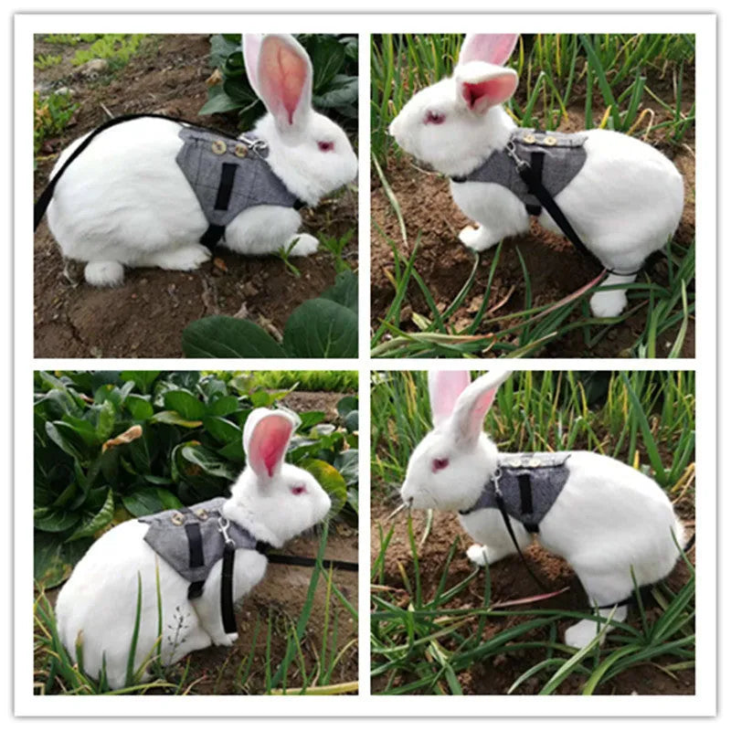 Grey cloth rabbit chest harness and leash set for small pets