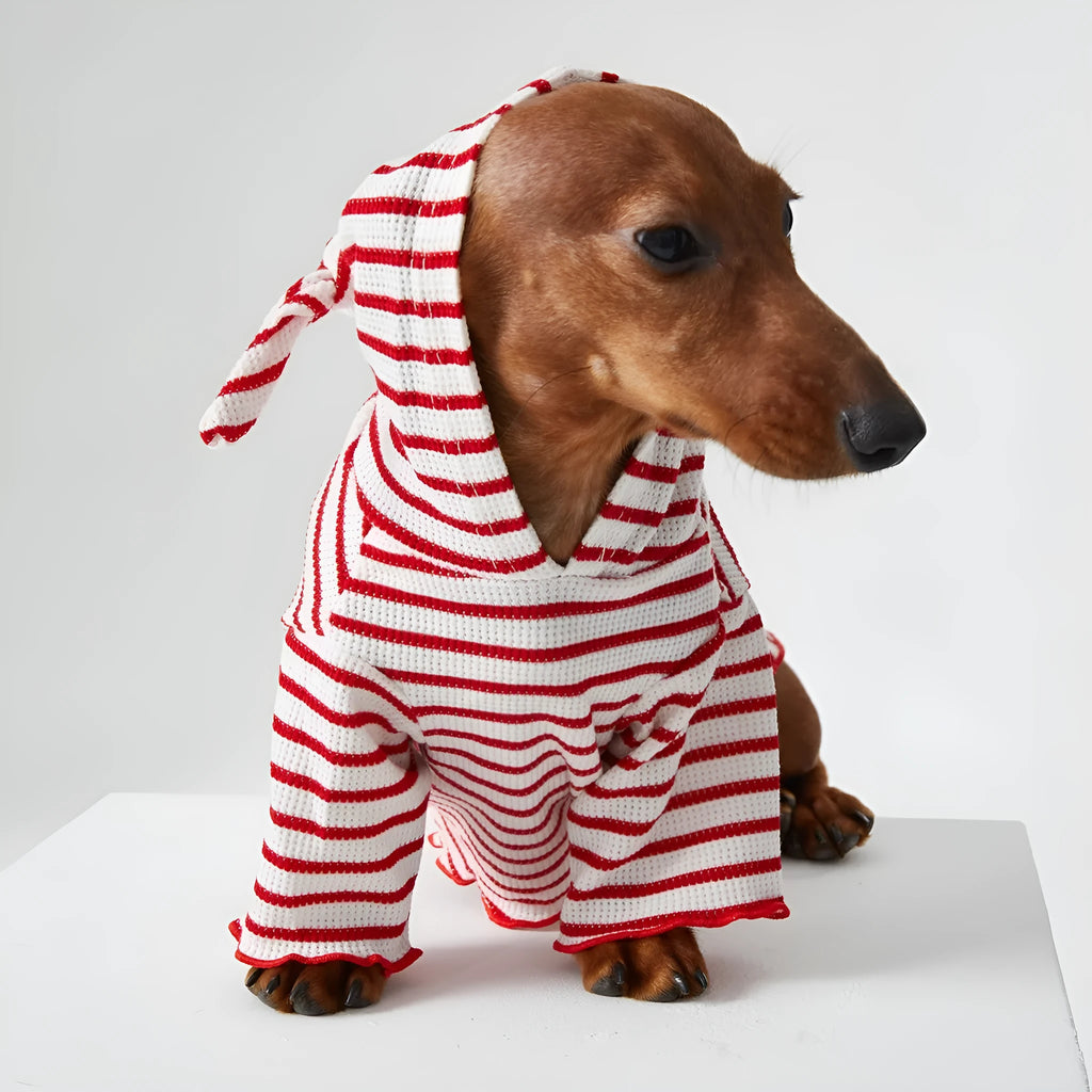 Striped hooded pet clothes in red and blue for dogs and cats, two feet design